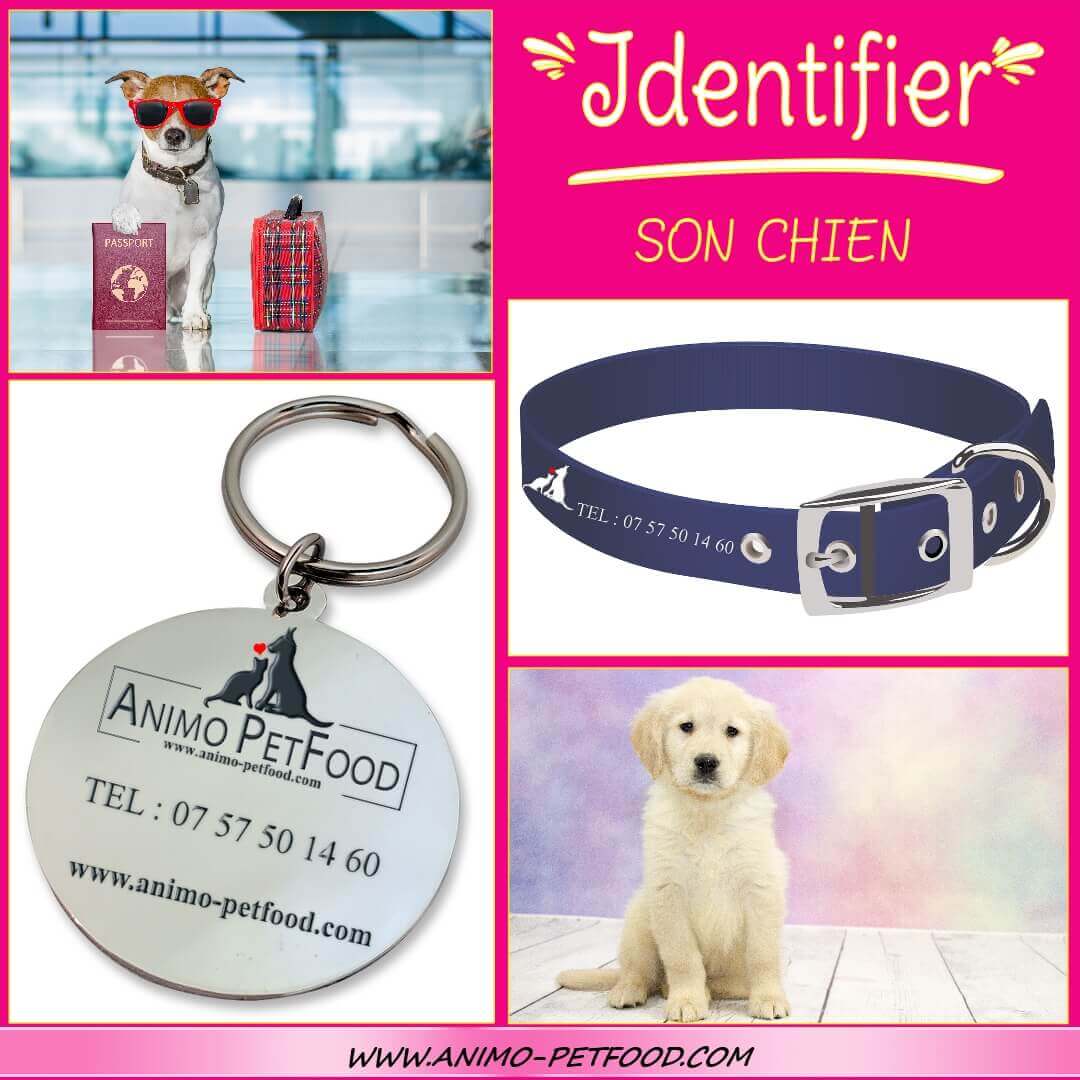 identifier chien_puce electronique chien_identification chien